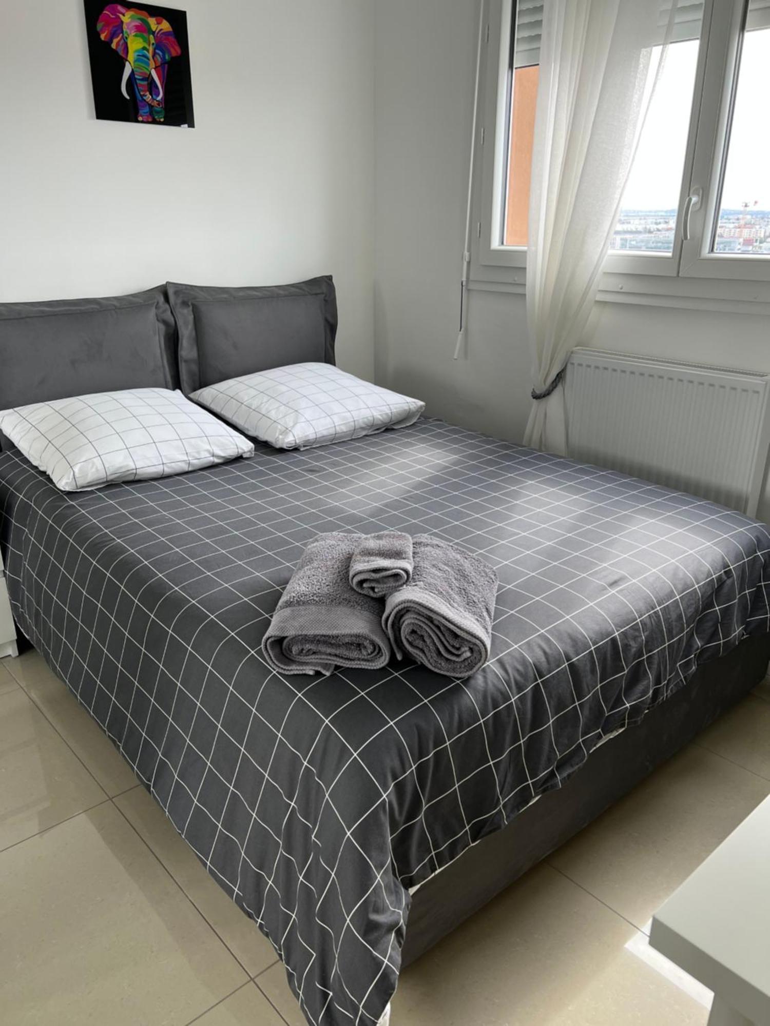 Super 4 Pieces Refait A Neuf Apartment Вильорбан Екстериор снимка